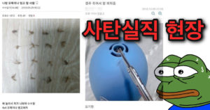돌아온 모기시즌..다시보는 모기갤러리 광기 모음.jpg