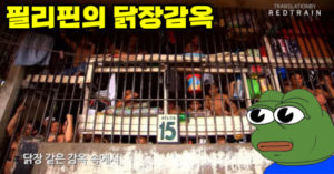 필리핀의 닭장감옥과 한 남자.jpg