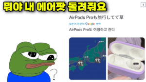 일본에서 분실 에어팟 줍해서 한국온 한국인의 최후.jpg