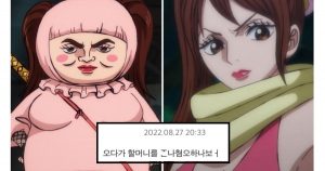 원피스 할머니들 반전 특징 대참사