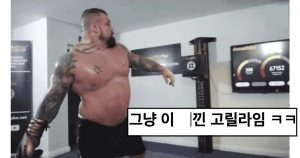 오함마로 내려치는 듯한 인류 최강의 펀치력