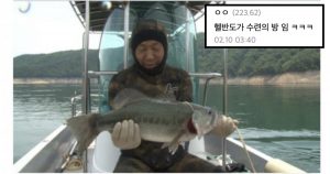 싱글벙글 생태계를 교란시키는 노답 한국 물고기