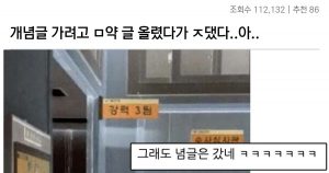 개추 받으려다가 경찰 입갤한 디씨인 대참사