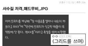 싱글벙글 트위치, 치지직 저격하는 서수길 속사정