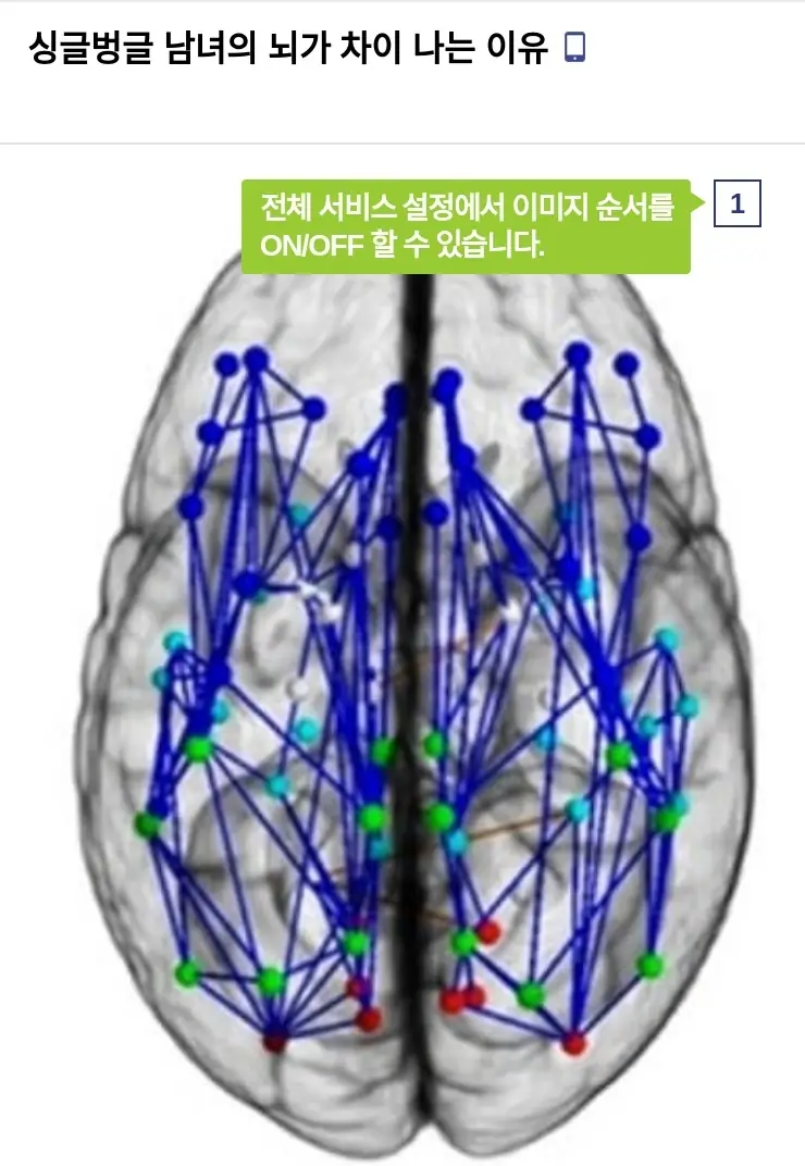 N남녀의1771_2