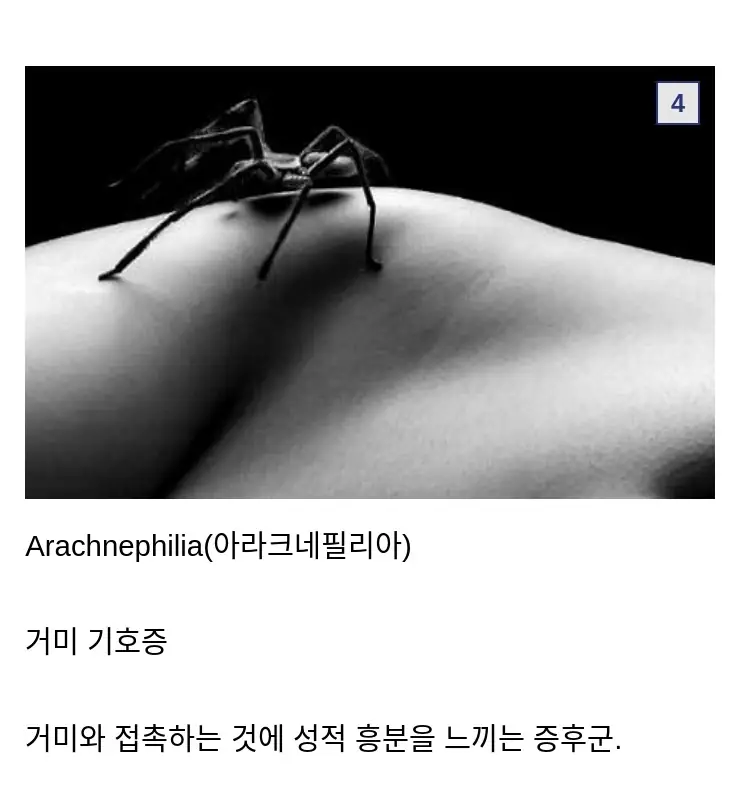 W초월하는2417_8