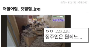 으악으악 레전드급 캣맘하우스 대참사