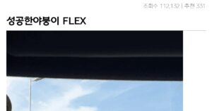 성공한야붕이의 일본 여행 FLEX