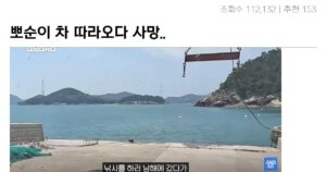 싱글벙글 버리질 말고 키우던 뽀순이가 전력 질주한 이유