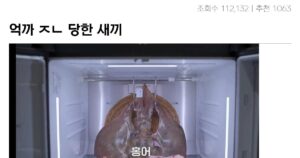 싱글벙글 백종원식당 억까 레전드