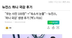 싱글벙글 뉴진스 하니 국감 후기 대참사