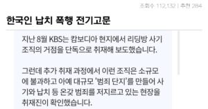 어질어질 한국인 납치해서 폭행 전기고문