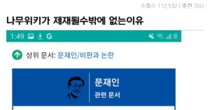 싱글벙글 나무위키가 제재받은 이유