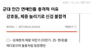 30대 중반부터 시작되는 군대 안 간 연예인 대참사