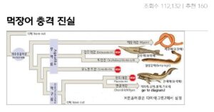 싱글벙글 먹장어의 진실