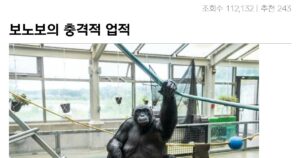 싱글벙글 어제 생일이었던 동물의 충격적인 일상