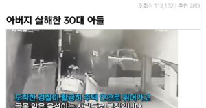 싱글벙글 30대 아들 아버지 살해 사건