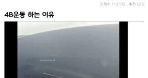 싱글벙글 한국남자들이 도저히 이해못하는 4B운동 대참사