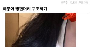 싱글벙글 헤붕이의 망한 머리 구조대 대참사