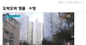 싱글벙글 서울 아파트 경매 대참사